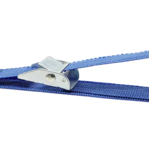 Streetwize 2.5 mtr Buckle Tie Down Pair