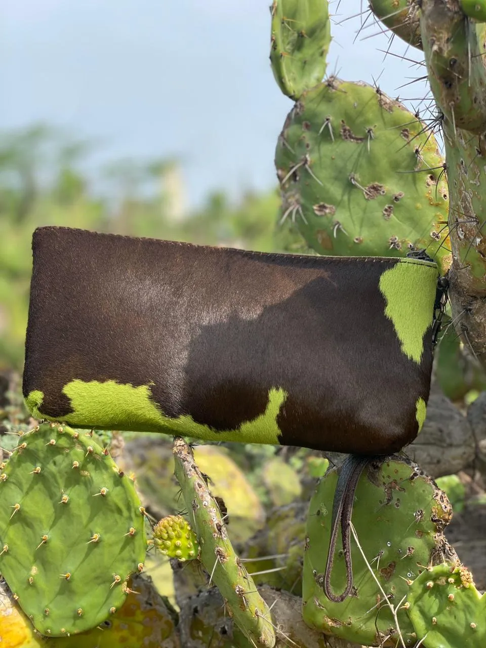 The IC Campeche Clutch