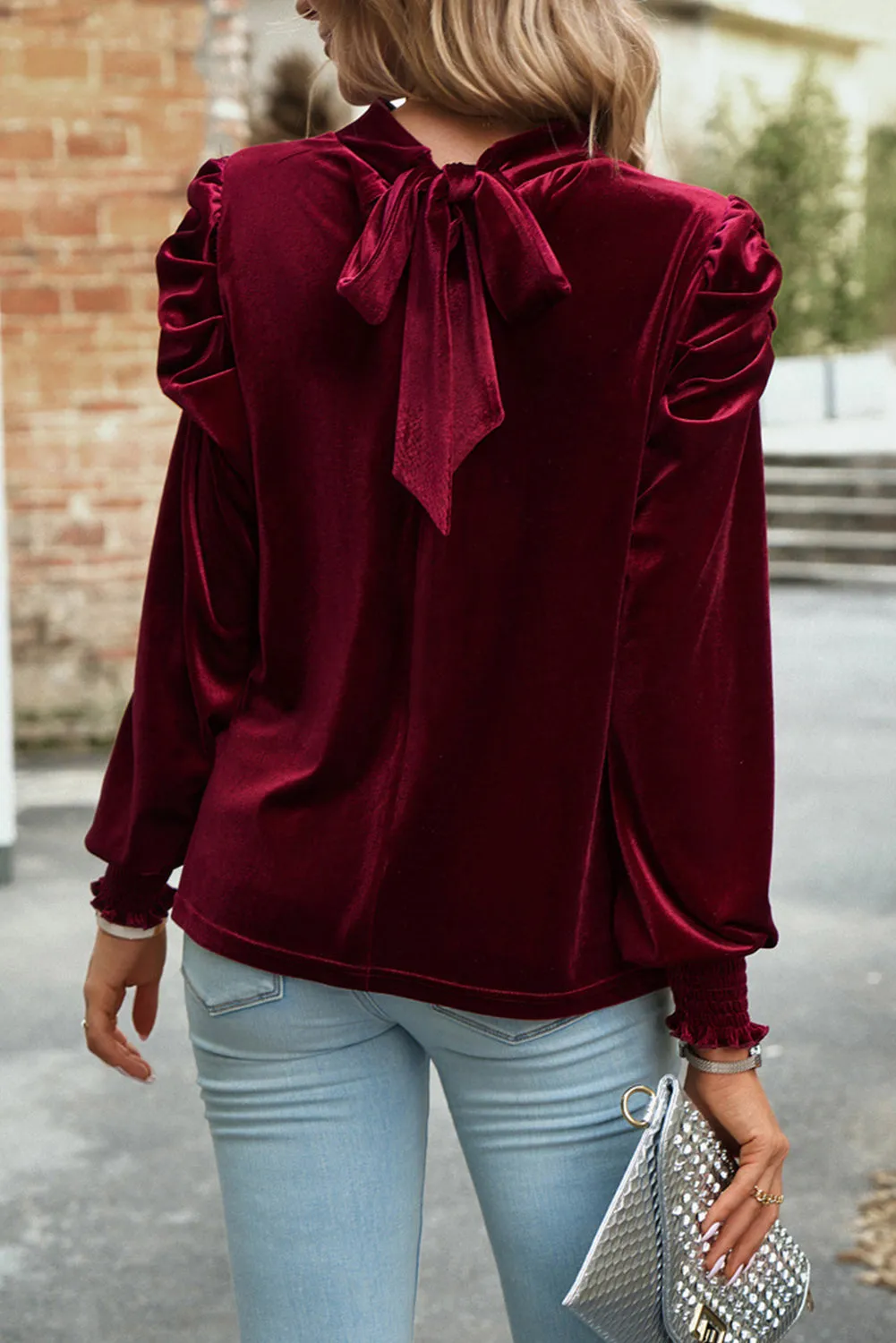 Velvet Long Sleeve Blouse