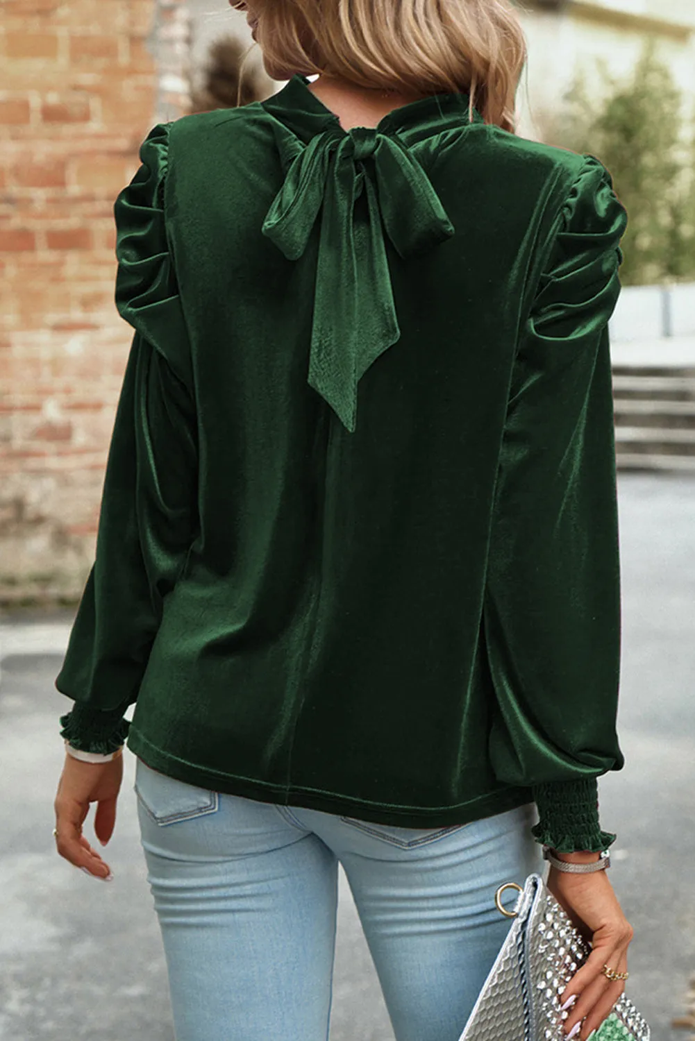 Velvet Long Sleeve Blouse
