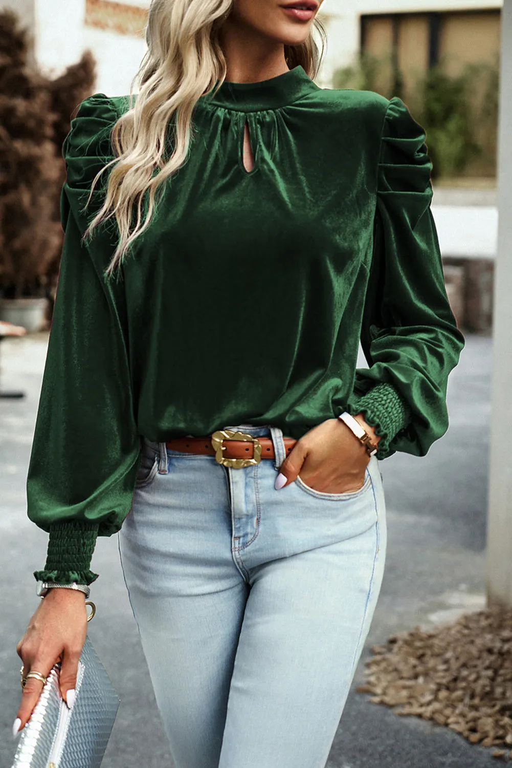 Velvet Long Sleeve Blouse