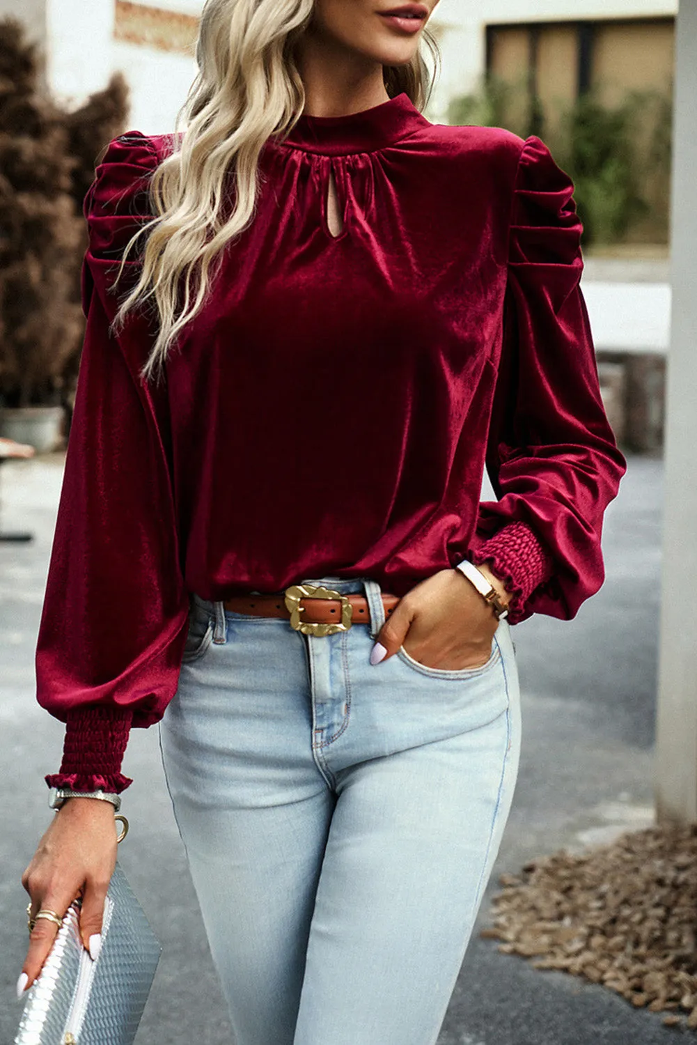 Velvet Long Sleeve Blouse