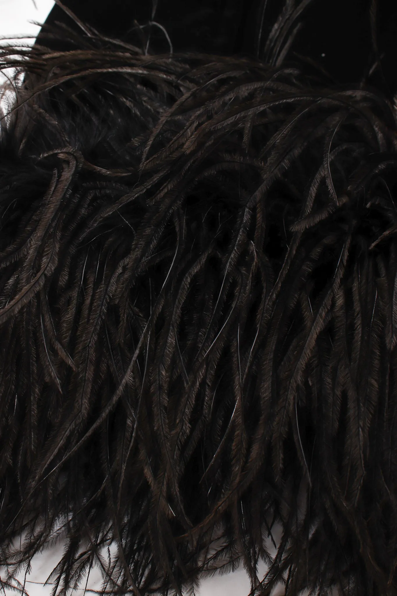 Velvet Ostrich Feather Trim Coat